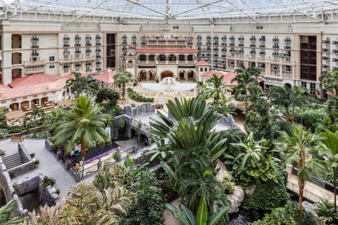 Gaylord Palms Resort & Convention Center — photo 2