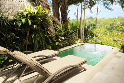 Kupu Kupu Barong Villas and Tree Spa — recepcion & lobby