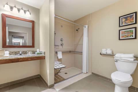 Comfort Suites Medical Center near Six Flags — photo 8