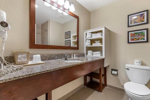 Comfort Suites Medical Center near Six Flags — photo 9