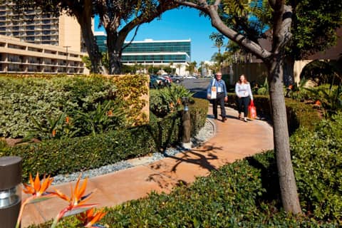 Courtyard by Marriott Anaheim Resort/Convention Center — photo 2