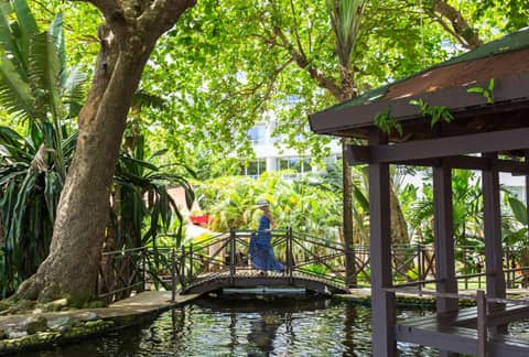 Caribe Hilton — photo 4