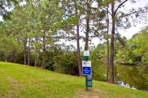 Sonesta Simply Suites Jacksonville — photo 5