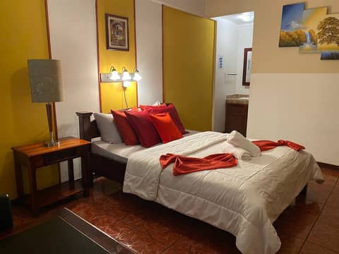 Hotel Amón Real — photo 6