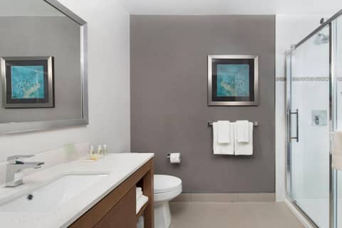 Holiday Inn Hotel & Suites - Montreal Centre-ville Ouest by IHG — photo 9