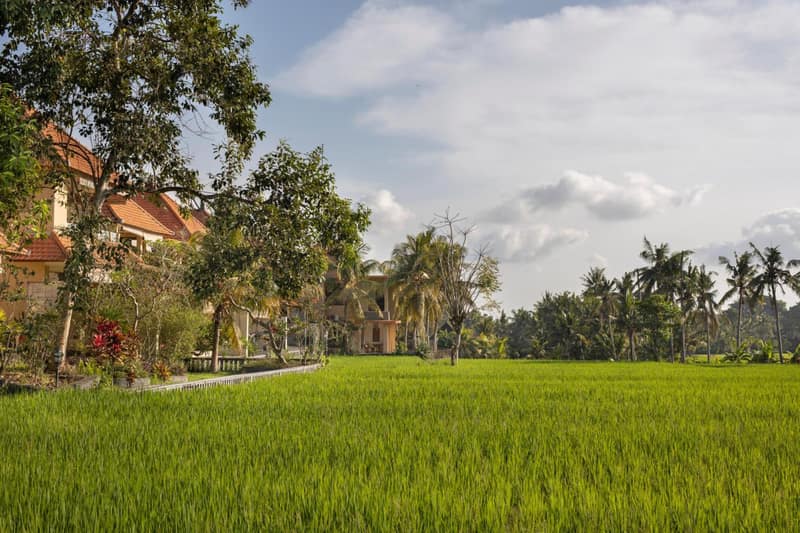 Green Field Hotel and Restaurant — building