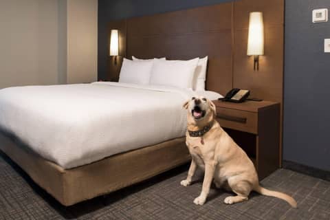 Residence Inn Memphis Downtown — photo 6
