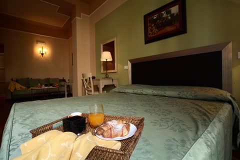 Hotel Ambasciatori — hotel room