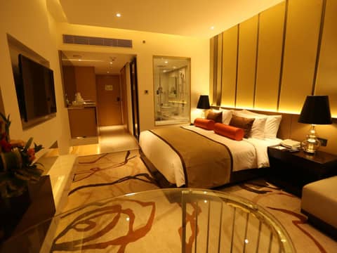 Pride Plaza Hotel Aerocity New Delhi — photo 7