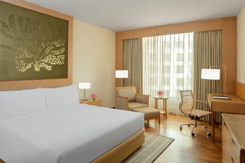 Radisson Blu Hotel New Delhi Dwarka — photo 6