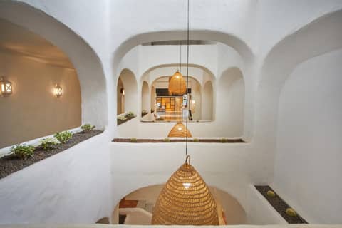 Hyatt Ziva Jardín Tropical Tenerife — photo 4