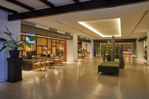 Hyatt Ziva Jardín Tropical Tenerife — photo 7