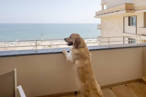 Ilunion Fuengirola — photo 4