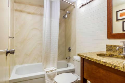 Holiday Inn Express Denver Central - North — photo 6