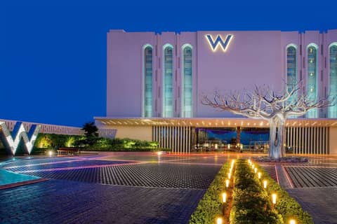 W Muscat — photo 4