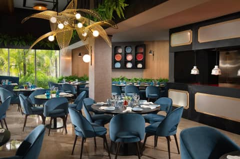 Dreams Onyx Resort & Spa - All Inclusive — dining