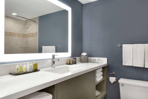 DoubleTree Suites by Hilton Hotel Boston - Cambridge — photo 8