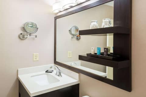 Sonesta Atlanta Airport North — photo 3
