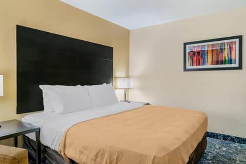 Quality Inn & Suites Livonia - Detroit — photo 4