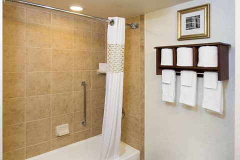 Hampton Inn Houston Near the Galleria — photo 8