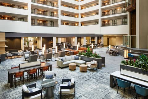 Hilton Charlotte Airport Hotel — photo 9