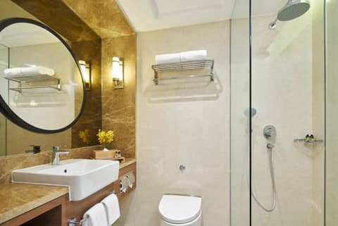 Orchard Rendezvous Hotel by Far East Hospitality — photo 5