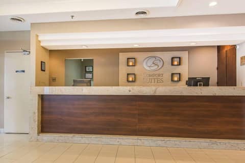 Comfort Suites Downtown — photo 7