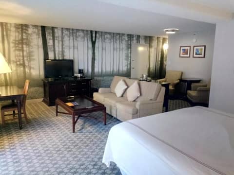Anaheim Majestic Garden Hotel — photo 4