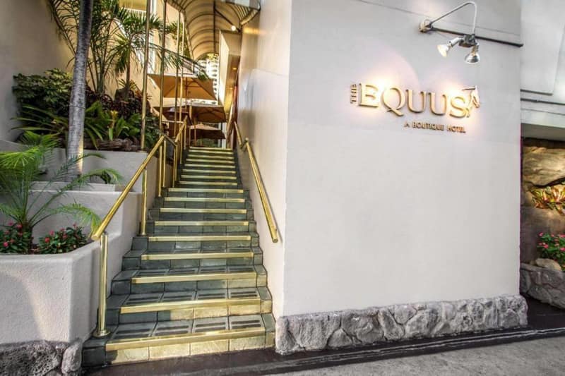 The Equus — building