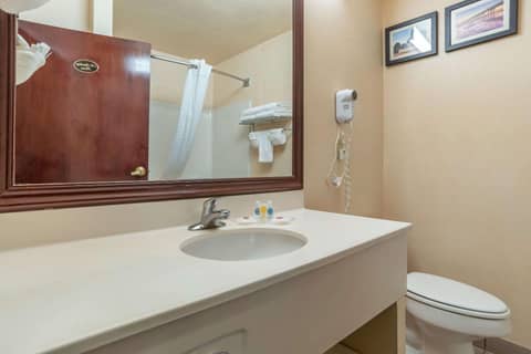 Comfort Suites Jacksonville Airport — photo 4