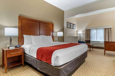 Comfort Suites Jacksonville Airport — photo 7