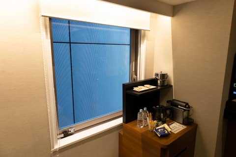 Hotel Ryumeikan Tokyo — hotel room
