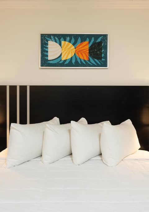 OASIS BAY SUITES, Tampa, Busch Gardens, USF — photo 5