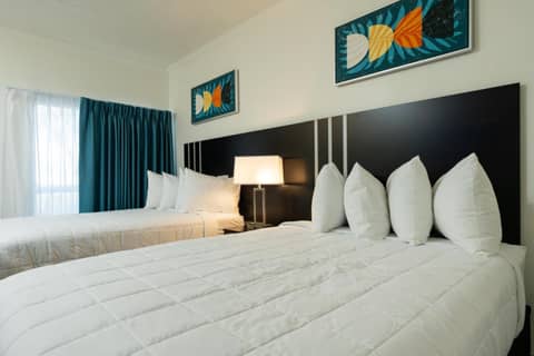 OASIS BAY SUITES, Tampa, Busch Gardens, USF — photo 6
