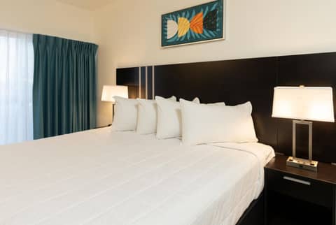 OASIS BAY SUITES, Tampa, Busch Gardens, USF — photo 7