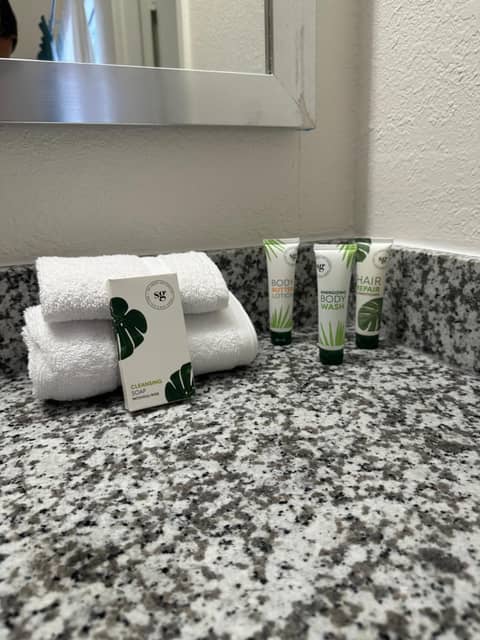 OASIS BAY SUITES, Tampa, Busch Gardens, USF — photo 8