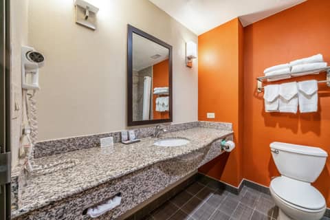 Restwell Inn & Suites I-45 North — photo 8