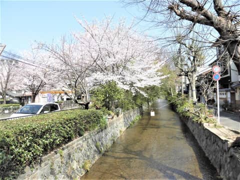 Hotel IL Verde Kyoto — photo 8