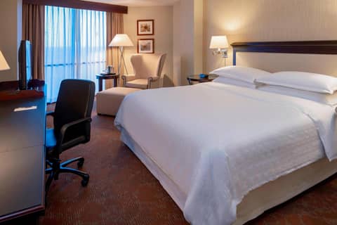 Sheraton Houston Brookhollow Hotel — photo 4