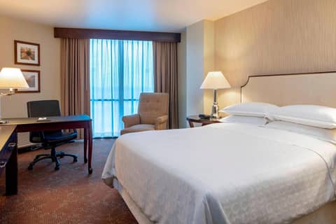 Sheraton Houston Brookhollow Hotel — photo 7