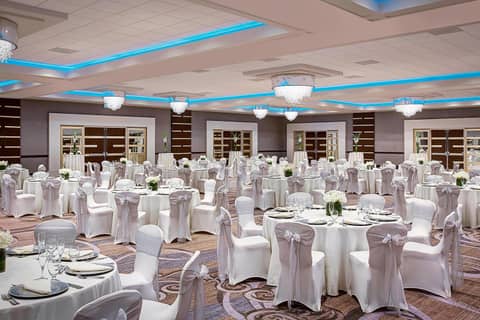 Sheraton Houston Brookhollow Hotel — photo 8