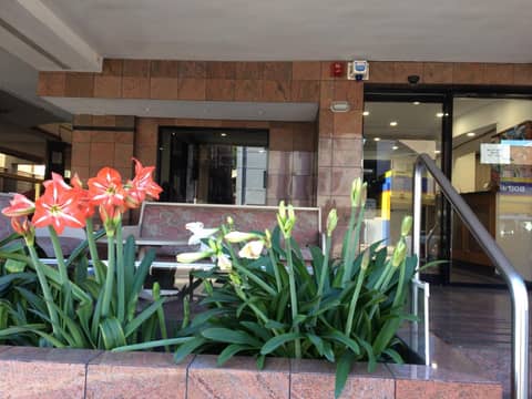 Edgecliff Lodge Motel — photo 5