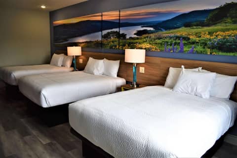 Days Inn & Suites by Wyndham Downtown/University of Houston — photo 5