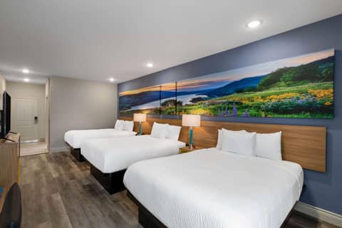 Days Inn & Suites by Wyndham Downtown/University of Houston — photo 9
