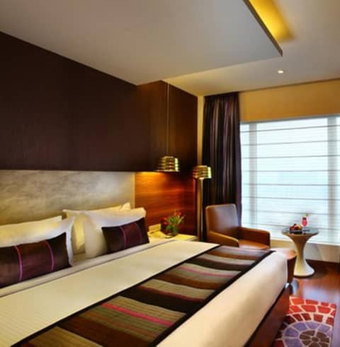 Park Plaza Shahdara — photo 5