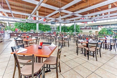 Wyndham Garden Detroit Metro Airport — photo 3