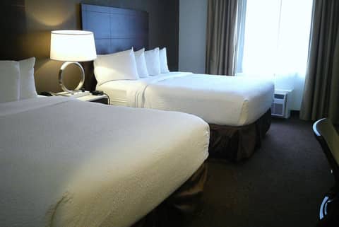 Wyndham Garden Detroit Metro Airport — photo 6