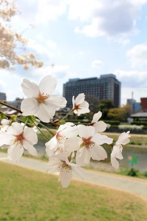 Hotel Okura Kyoto — photo 4
