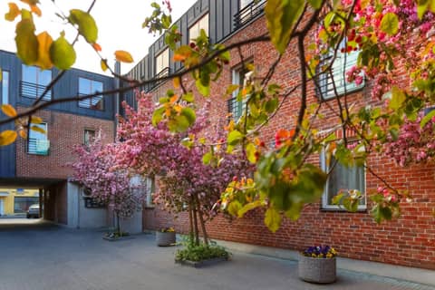 Hotel Bern by Rikas Hotels — photo 2