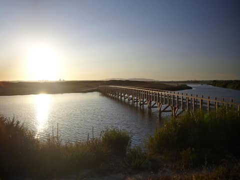 Wine & Books by the Sea, Algarve Resort — photo 3